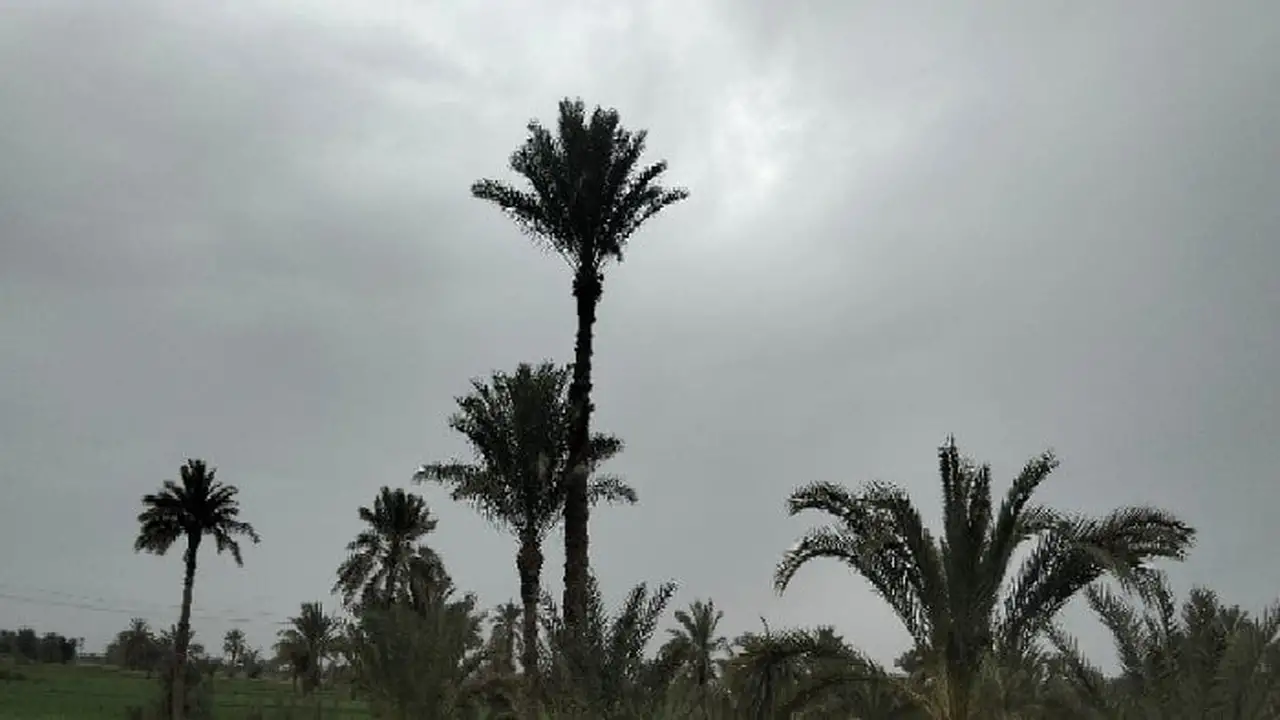 الفيوم تشهد تقلبات جوية مفاجئة وسط تحذيرات هيئة الأرصاد من انخفاض درجات الحرارة